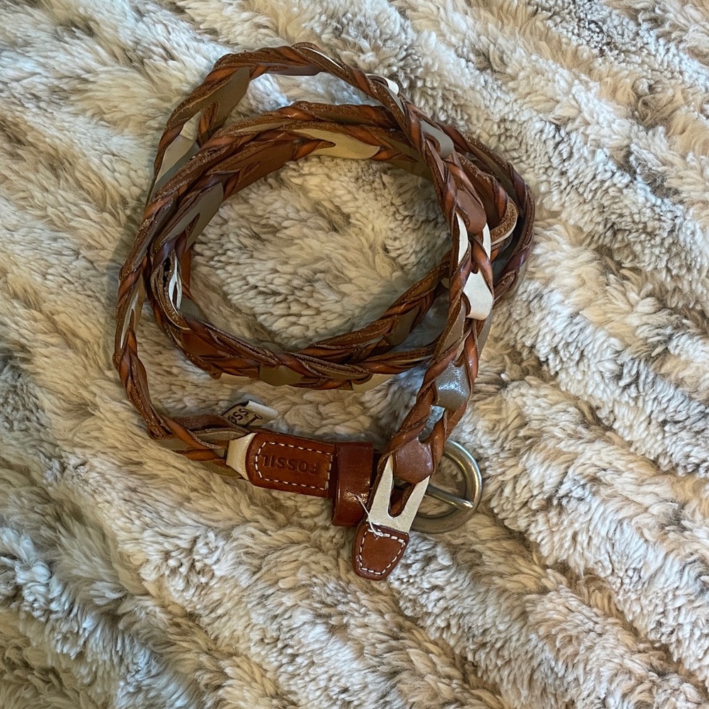 Fossil belt